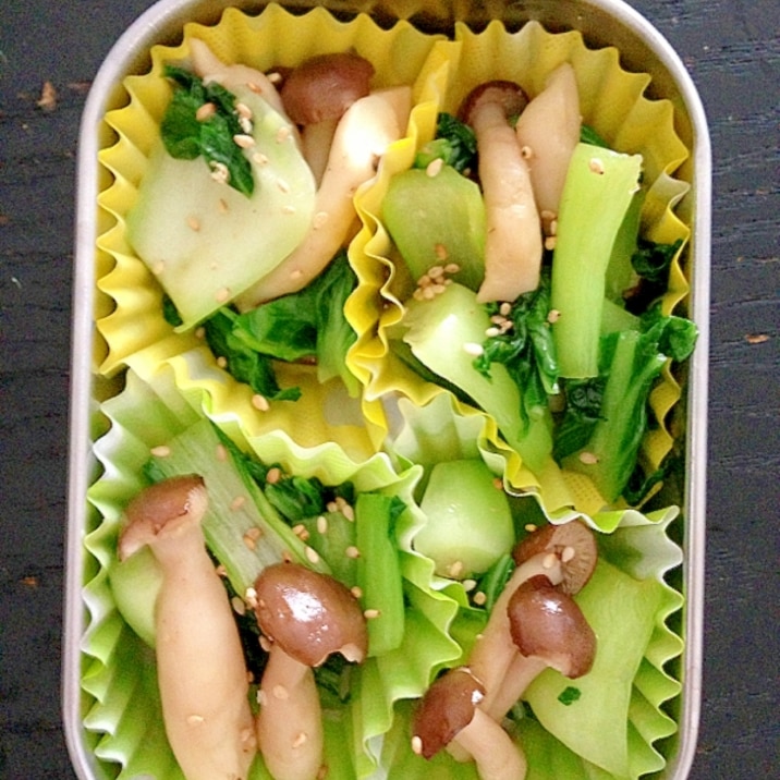 お弁当に 青梗菜としめじの炒め物 冷凍自然解凍可 レシピ 作り方 By Hana 楽天レシピ お弁当に 青梗菜としめじの炒め物 冷凍自然解凍可 レシピ 作り方 By Hana 楽天レシピ